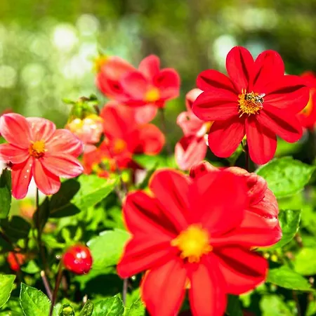 Haus Maria 3* Bad Kleinkirchheim