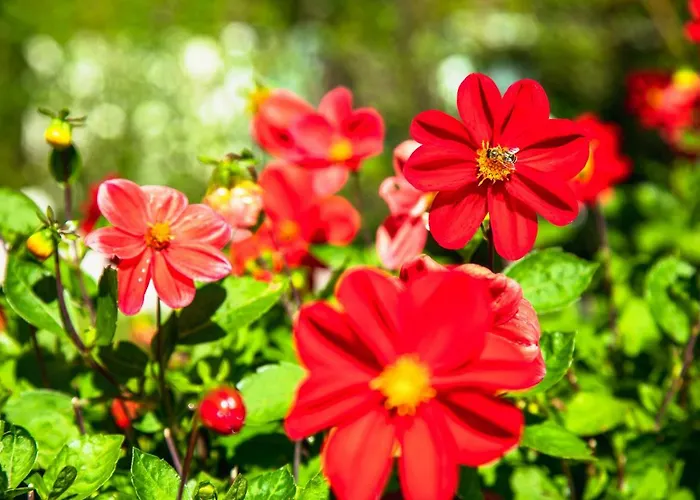 Haus Maria 3* Бад-Кляйнкірхгайм